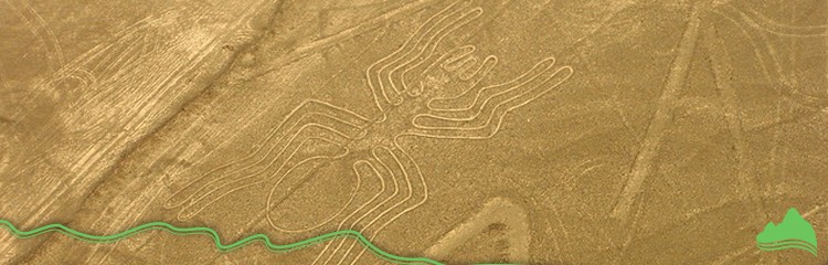 Líneas De Nazca