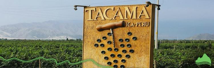 Tour Ruta del Pisco - Ica