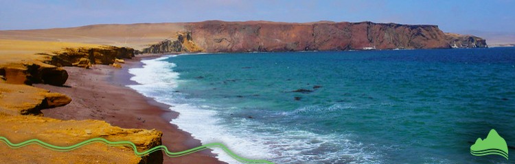 Paracas National Reserve Quad Bike Tour