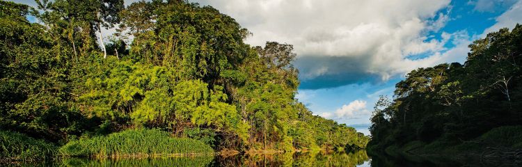 ¿Cuál es el significado de la Amazonia? 