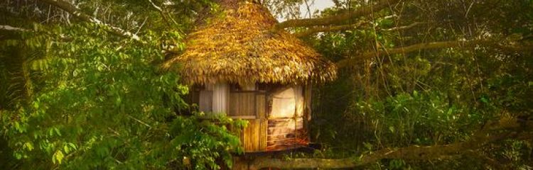 Treehouse Lodge in Loreto, Peru